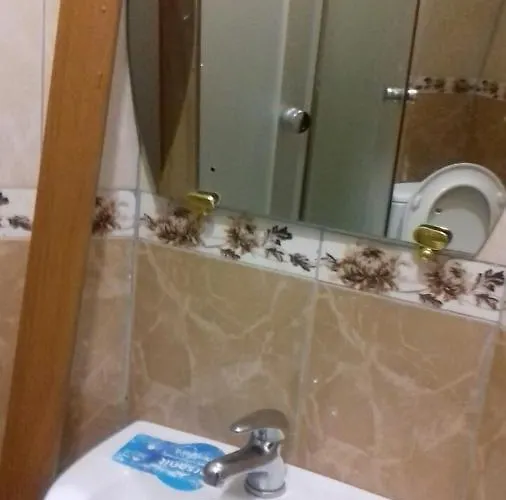 Готель Ас Ясіня 酒店